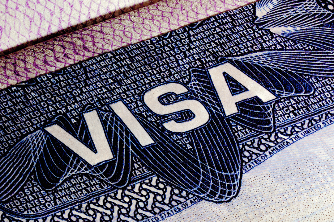 Consultant guiding a student through visa documents