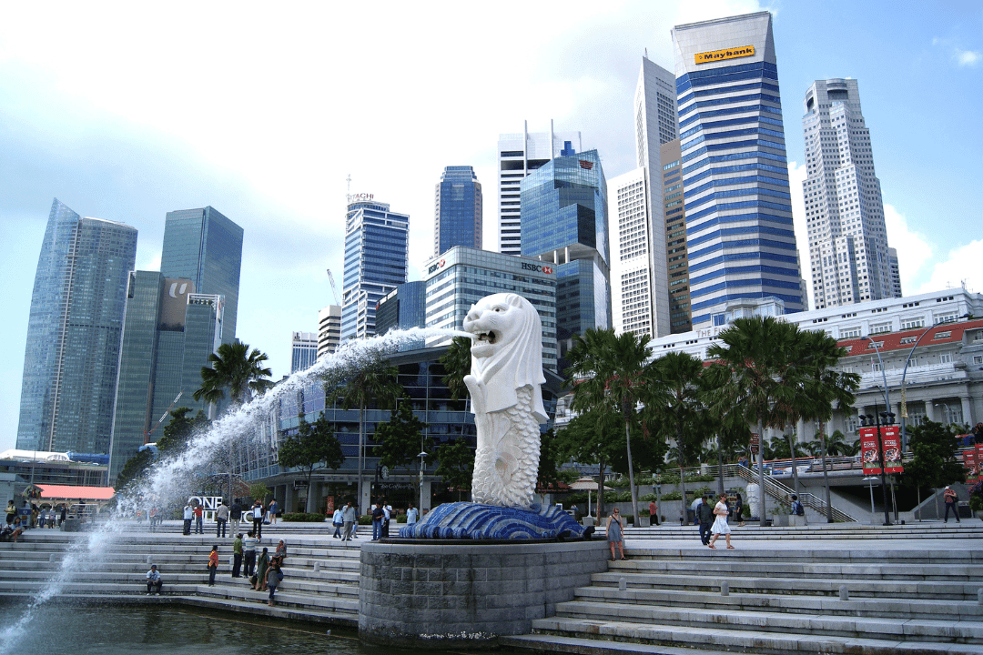Singapore — Global Investor Programme program