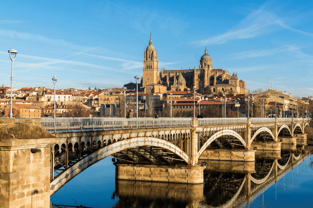 Spain — Search of Employment/Entrepreneurship (Graduates) program